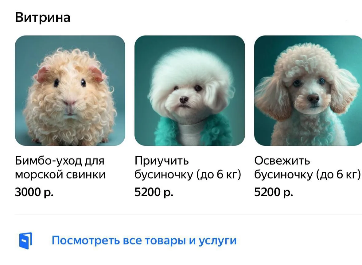Милота: нашла в Москве услугу «Бимбо-уход» для морских свинок.

За 3000₽ грызуну обещают целый спа: 