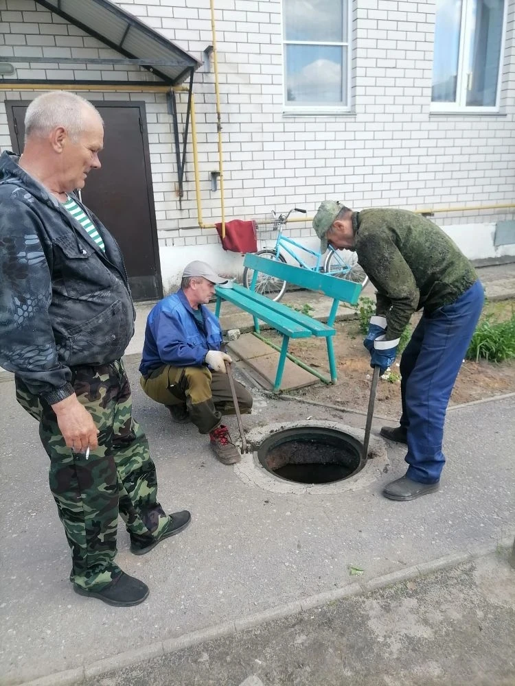 🔎 Проверка сетей: ул. Просвещения, д. 8, 10, 12, 12а