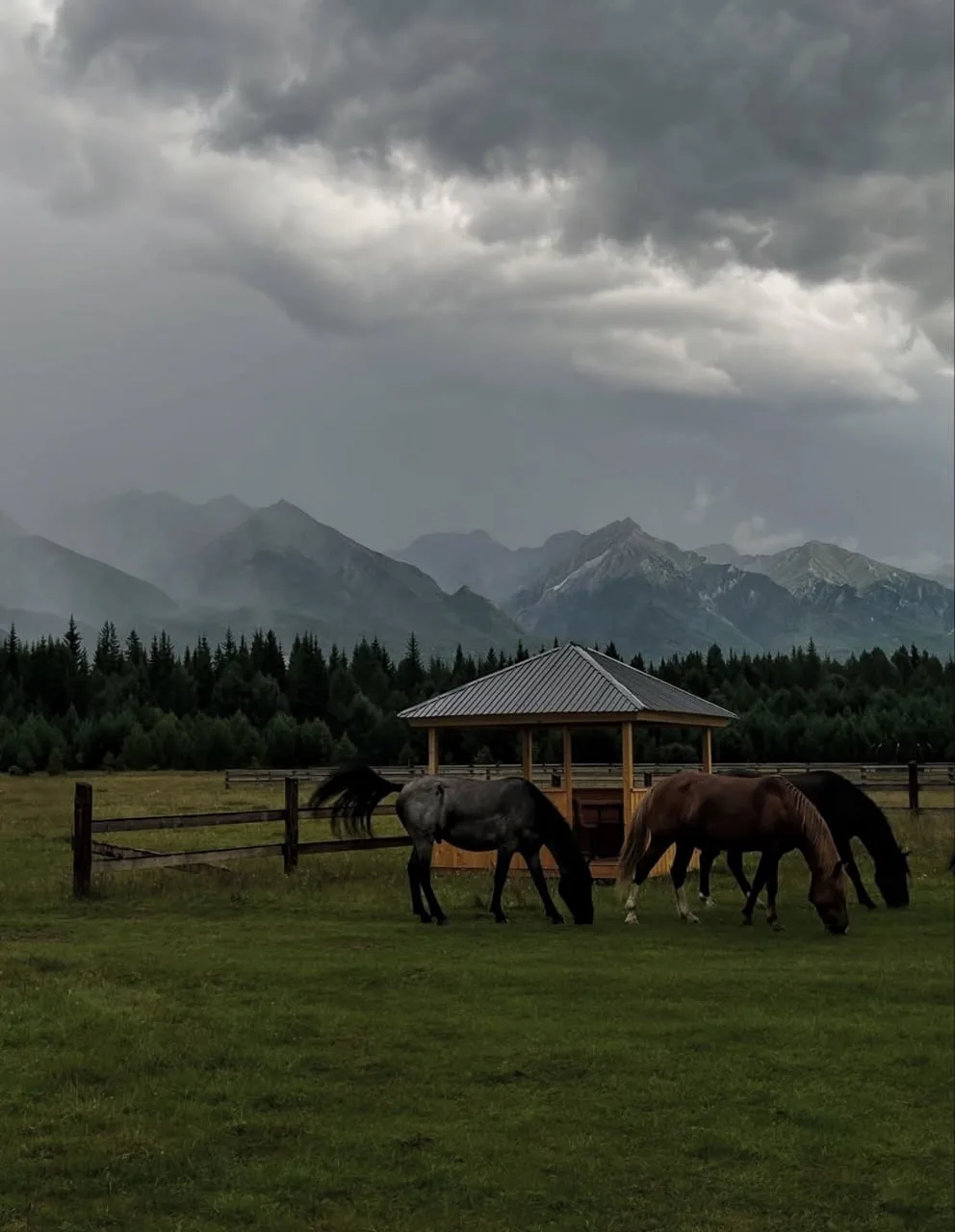 Пейзажи Аршана😍🏞