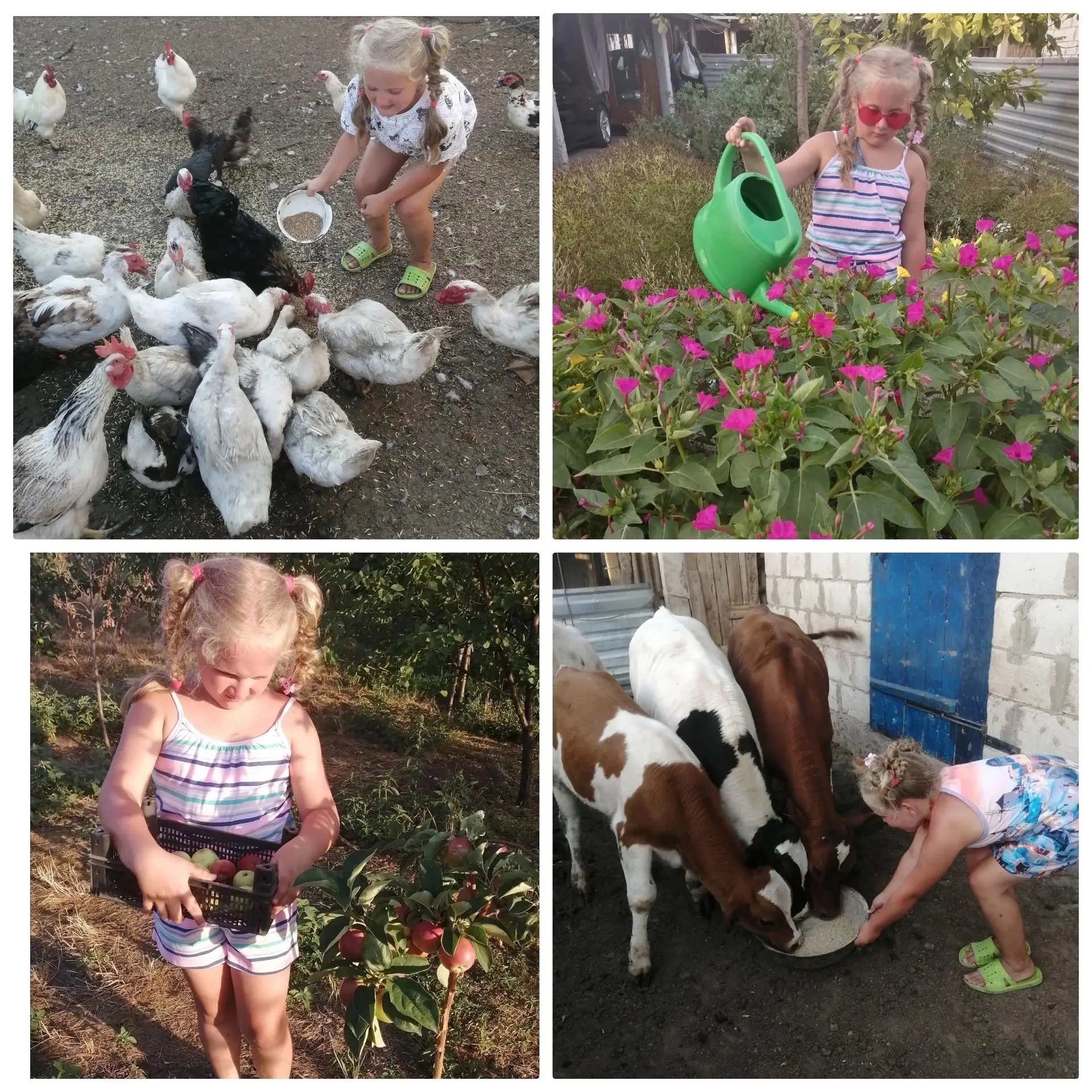 🌞 ЛЕТО У БАБУШКИ В ДЕРЕВНЕ

Лето в деревне у бабушки было необыкновенно красивым.
Солнце светило та