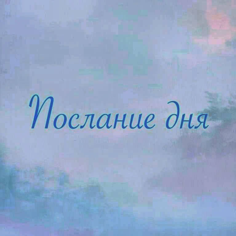 ✨