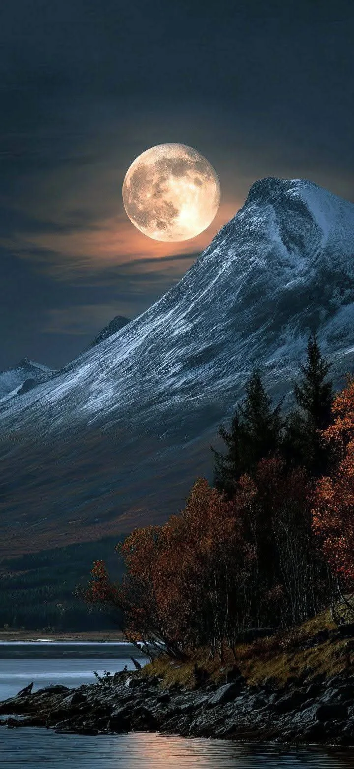 🌔🌌✨Тихой доброй ночи ✨🌌🌔