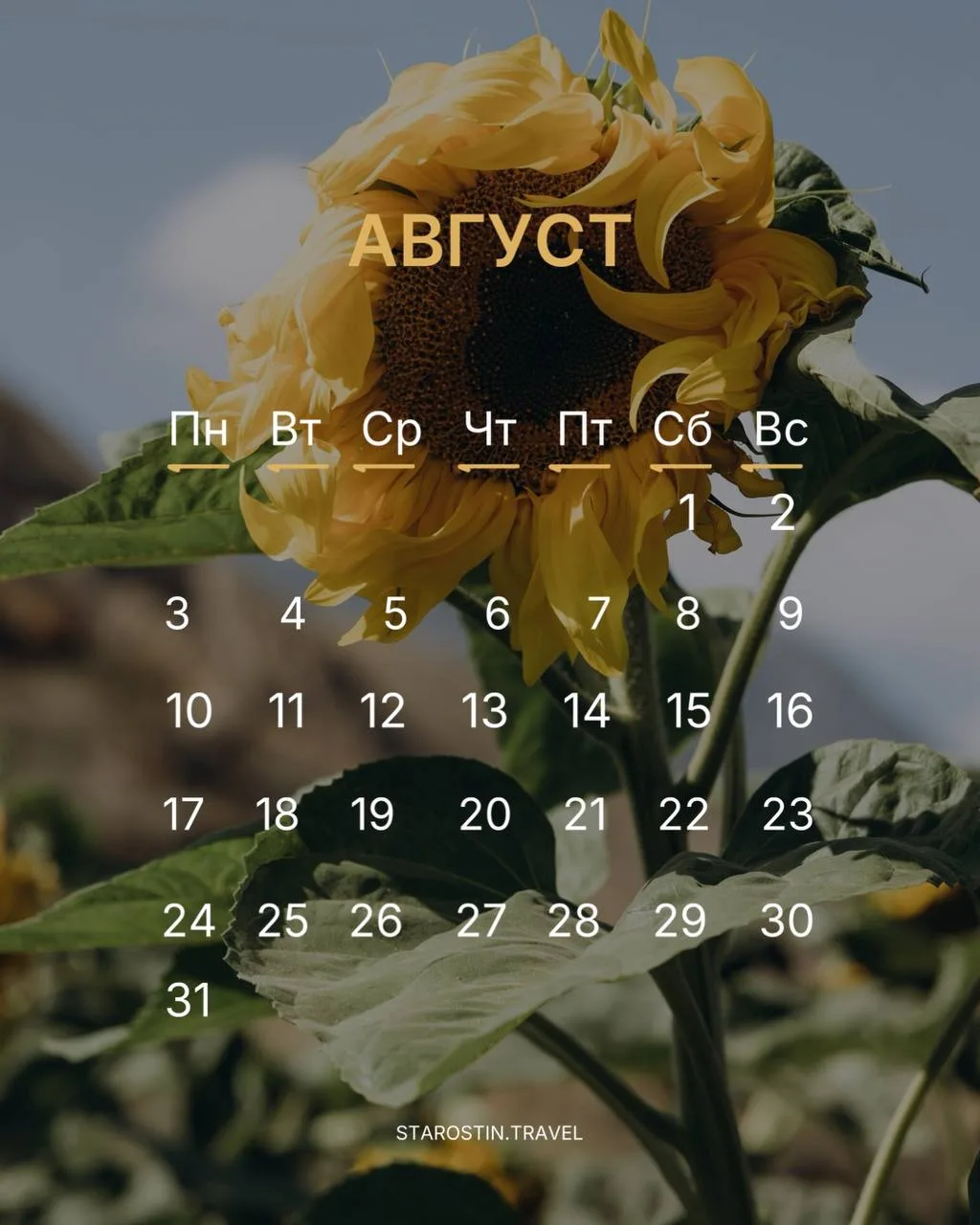 Календари на август ☀️