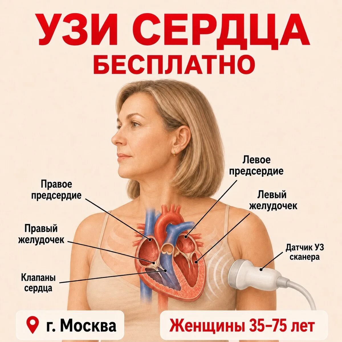 УЗИ сердца Бесплатно в Москве