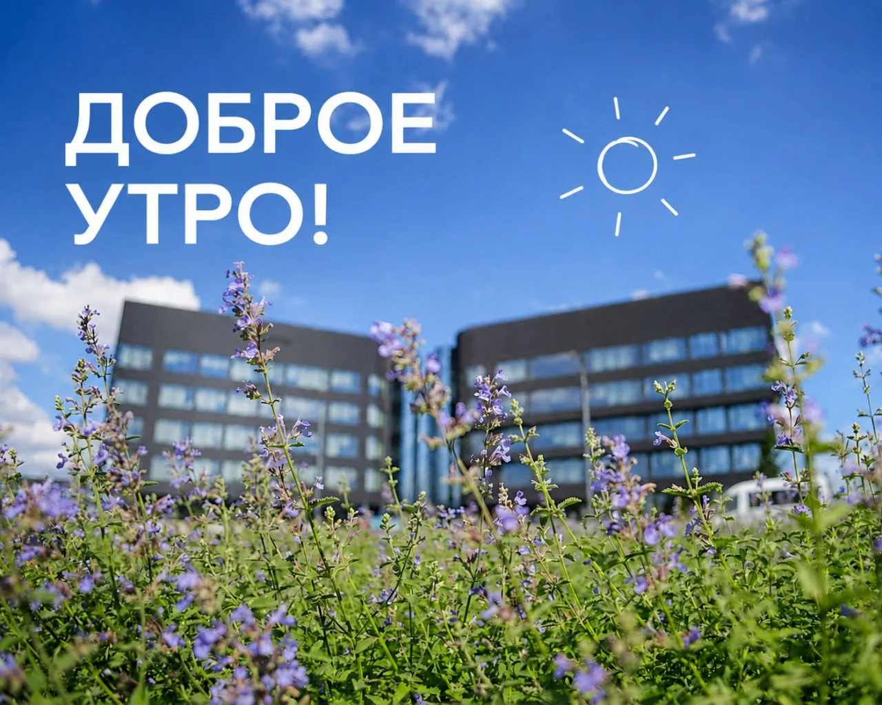 ☀️Доброе утро!