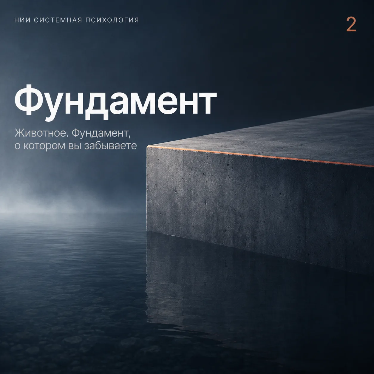 Животное. Фундамент, о котором вы забываете