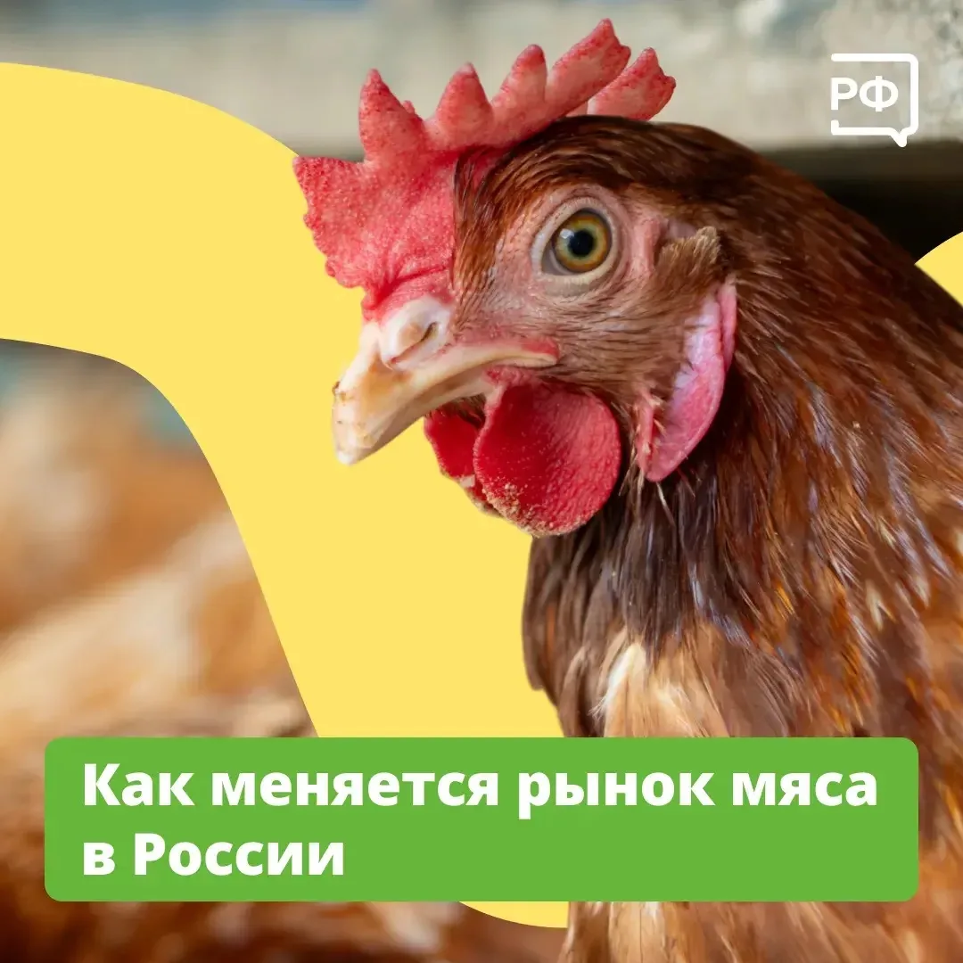 🐓 Каждый россиянин в год съедает около 35 кг курятины. Спрос на птицу большой — но про...