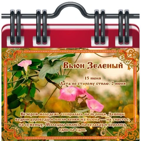🗓 Народный календарь

Никифоров день. Вьюн Зеленый 
15 июня - дата памяти святителя Никифора — патр
