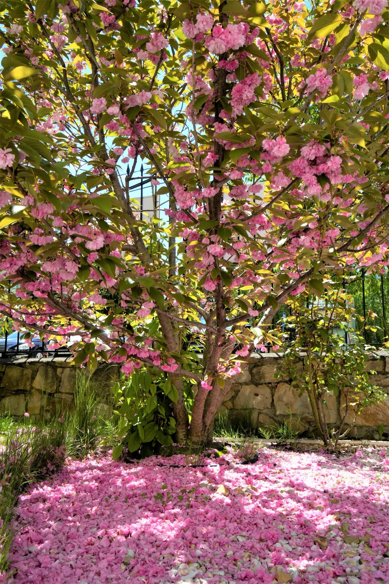 🌸 Удачных выходных!   Желаем вам только хороших новостей, солнца и отличного настроения!