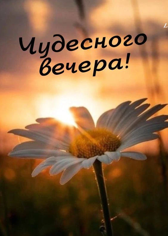 #ЧудесногоВечера