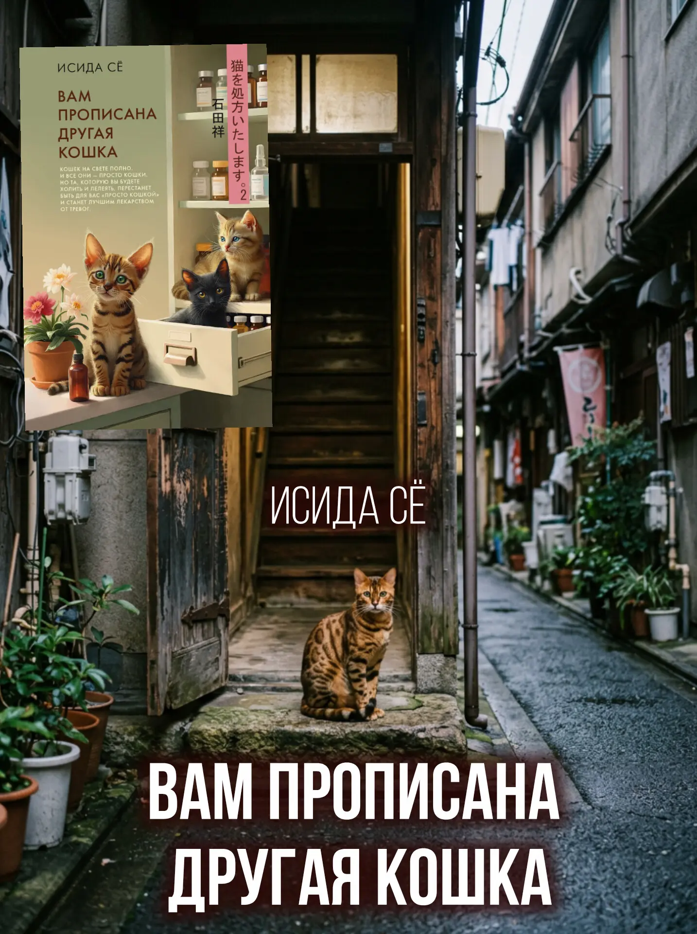 🐈 А что, если вместо таблеток врач выпишет... кота?