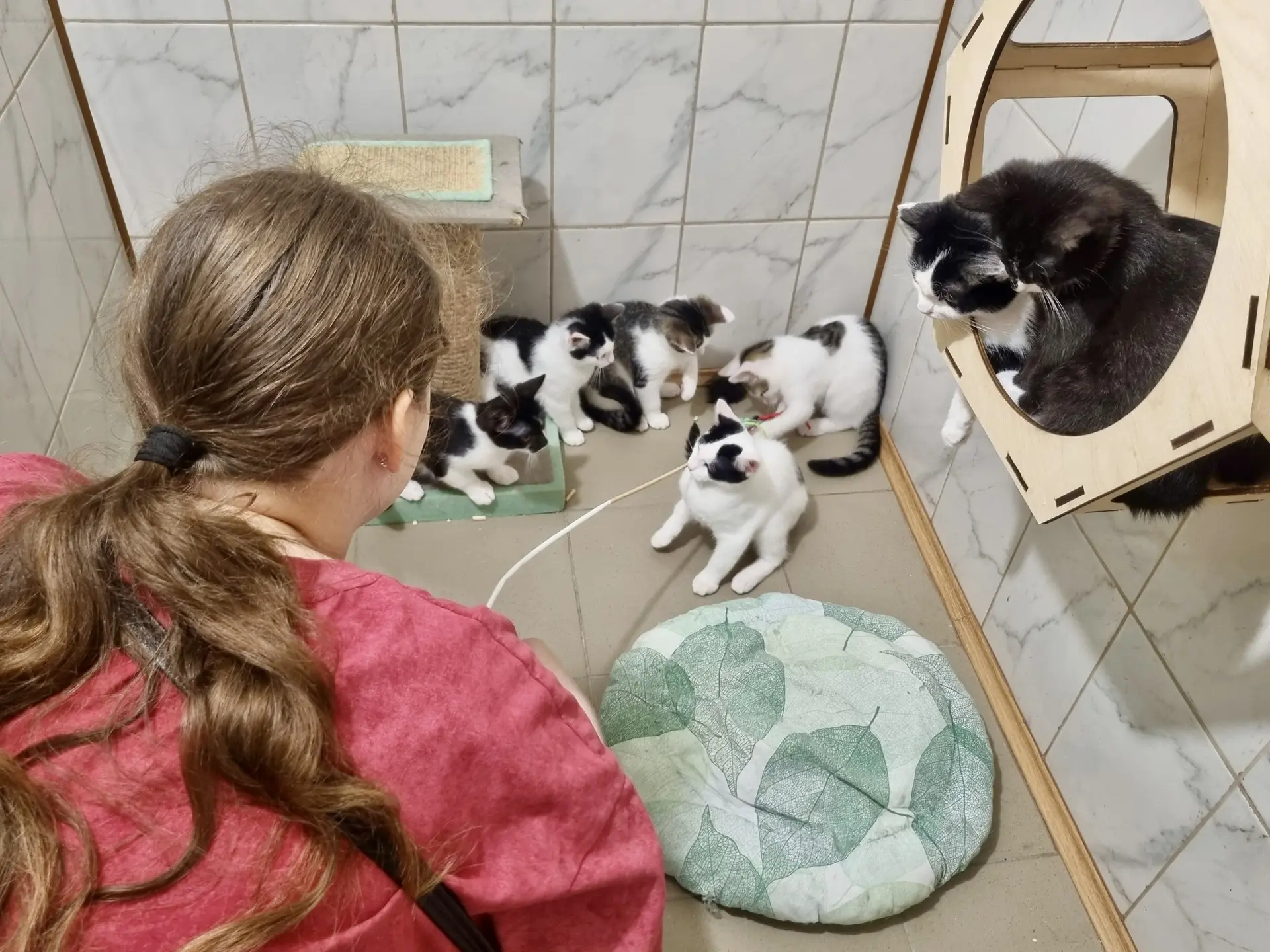 🐾16 июня, в рамках волонтёрской акции «Лапа к лапе», 5 волонтёров из СПБ ГБ ПОУ «Малоохтинского кол