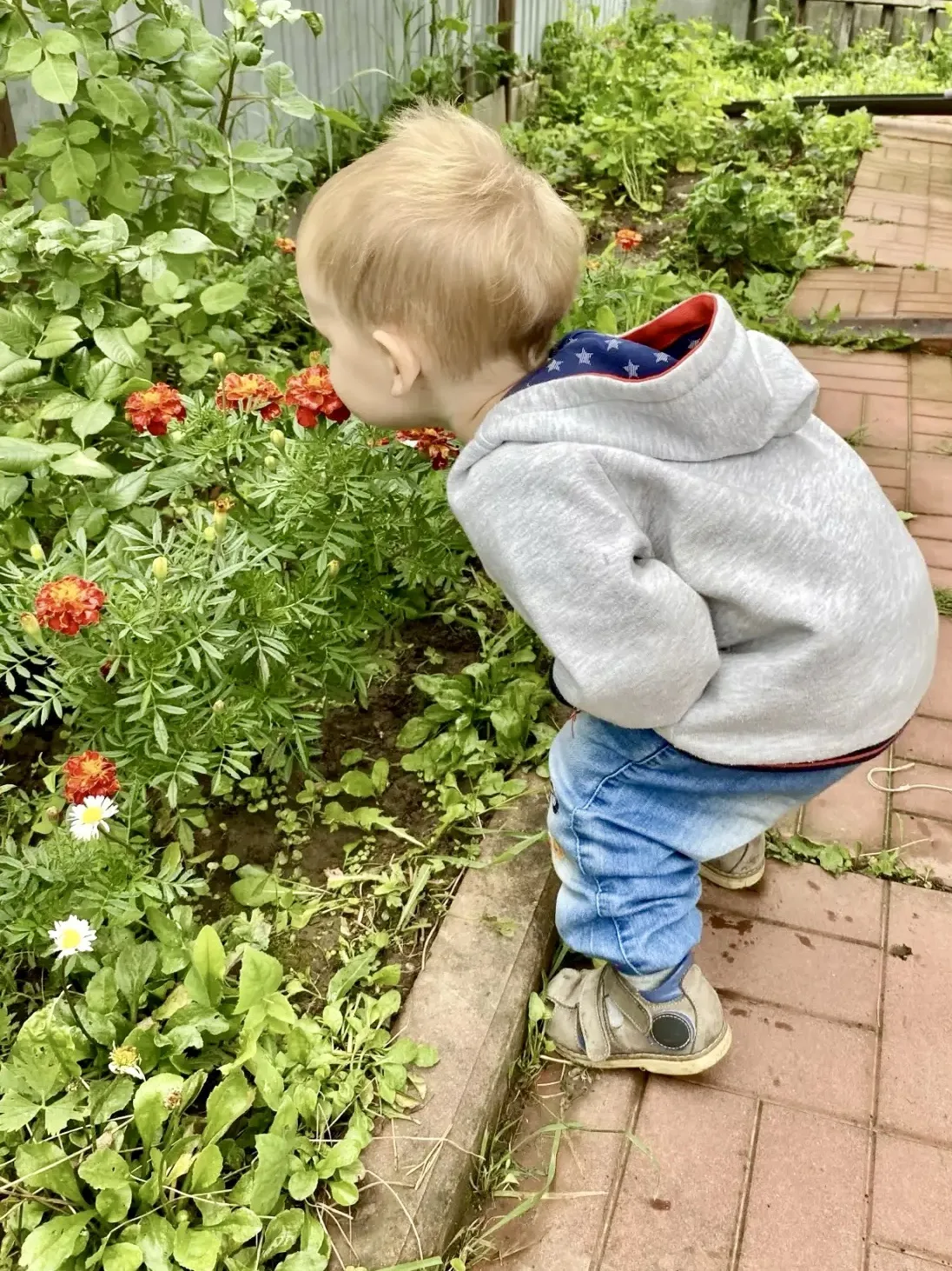 🦶🦵Наклонись, чтобы понюхать цветочек.