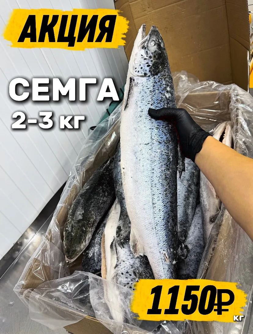 ПРЕМИАЛЬНАЯ СЁМГА 😍🔥

Сейчас на эту красавицу действует акция недели 👌

🐟 Сёмга 2–3 кг

✅ 1150₽/