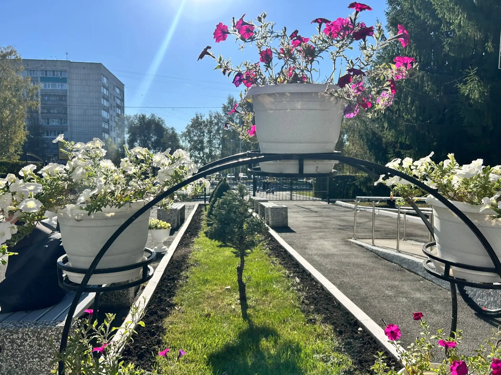 С добрым утром!🌺