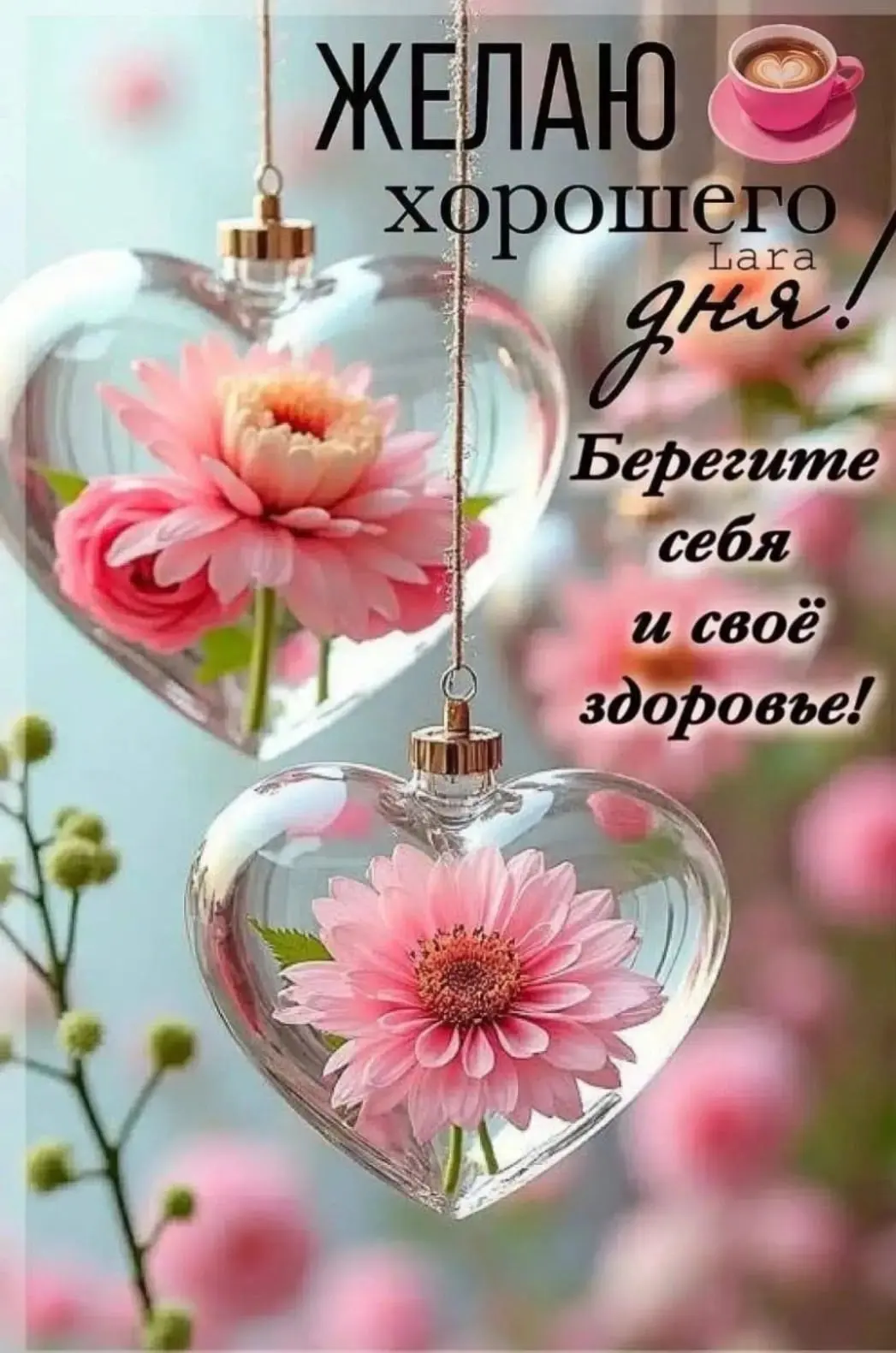 #ХорошегоДня

Красивые открытки❤️