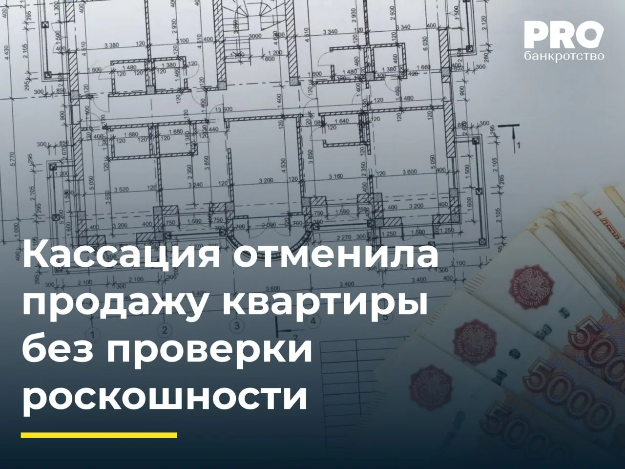 Кассация отменила продажу квартиры без проверки роскошности
