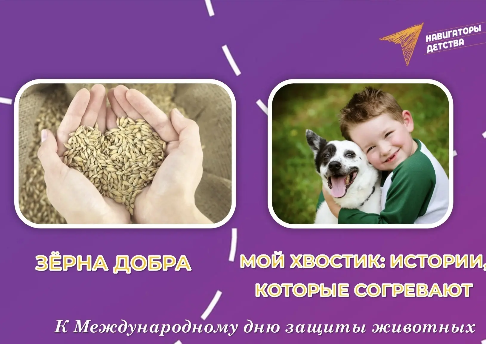 Всем доброго воскресного дня! 🍁🌤️