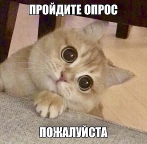 Дорогие коллеги, студенты и их родители ✅ 

Тут одни важные люди просят пройти небольшой опрос о кач