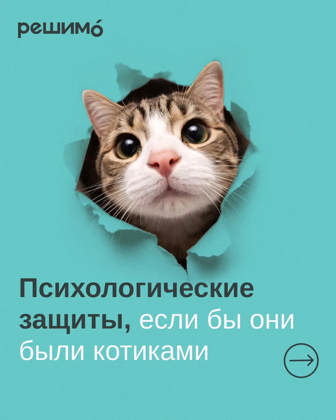 А какой котик ты?😅