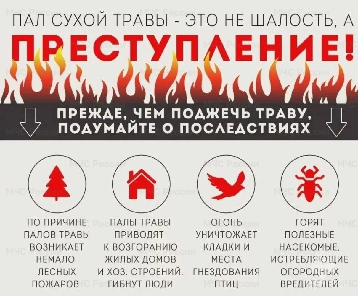 С целью предупреждения несанкционированных палов сухой травы и возникающих вследствие э...