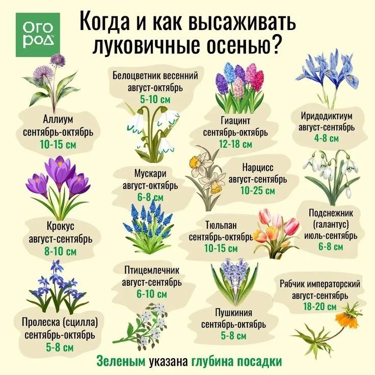 Доброе утро☀