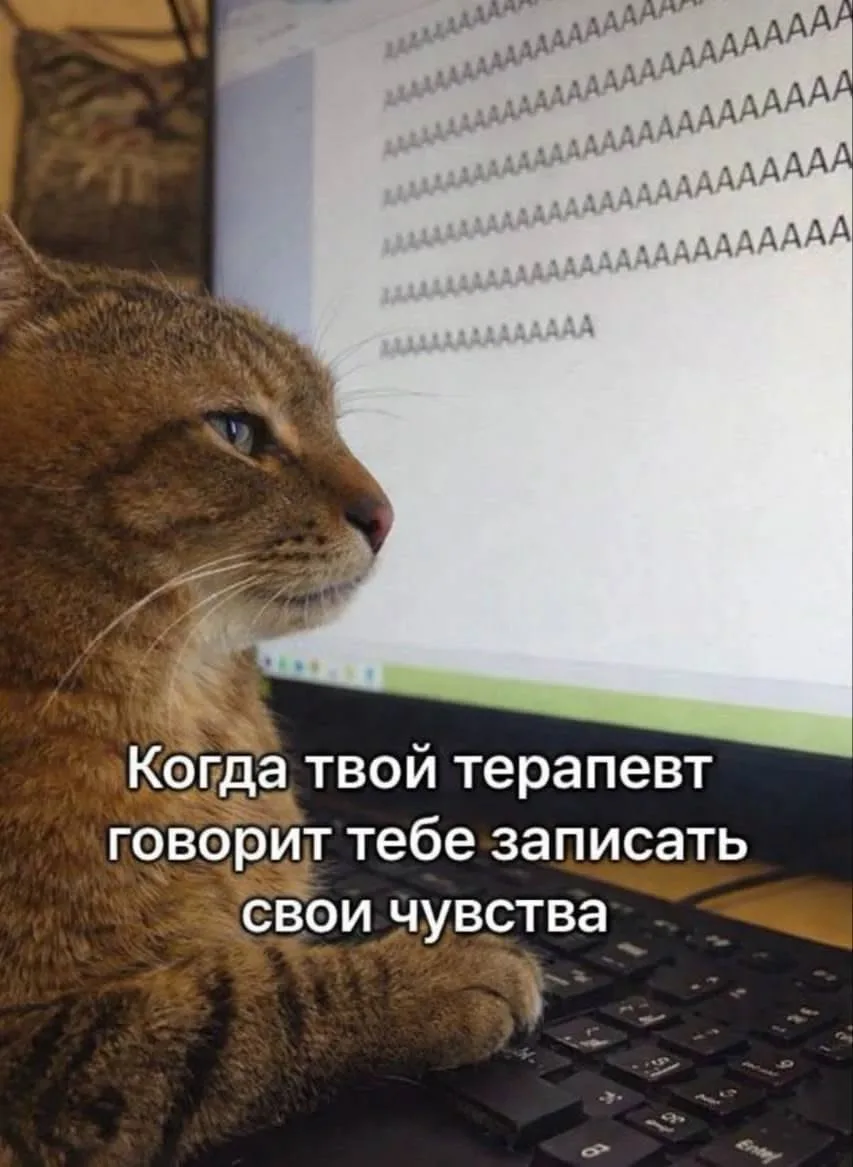 #мемыдня