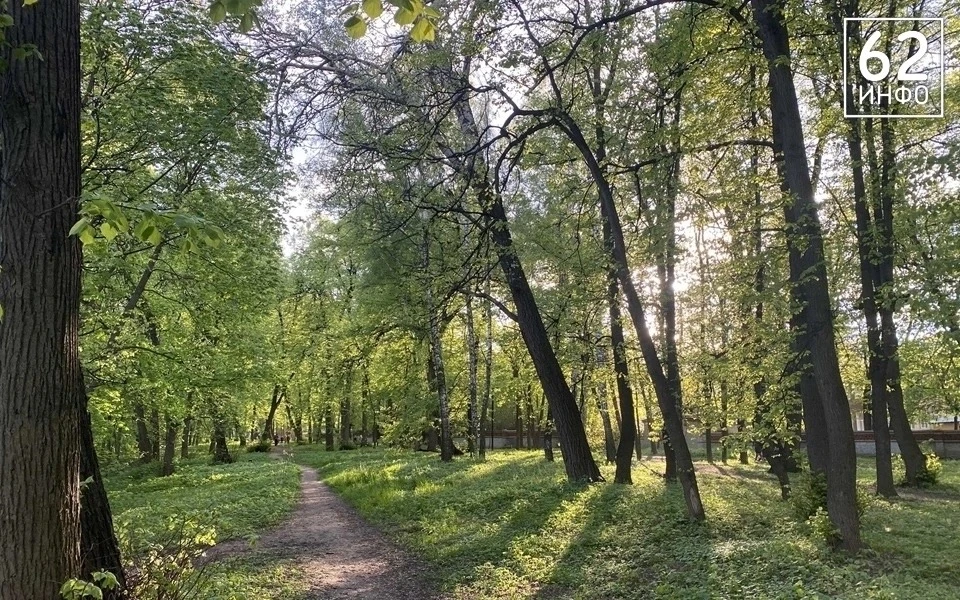 🌲 В Рязанской области на 21 день ограничили посещение лесов из-за пожарной опасности. Запрещены кос