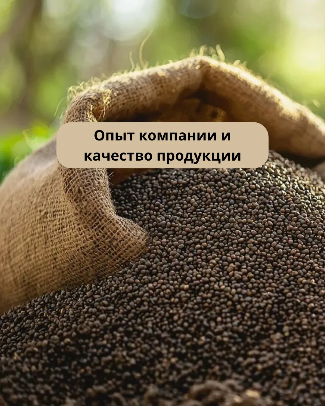 Мистер Гумат производит гуминовые удобрения с 2015 года и сотрудничает с научными инсти...