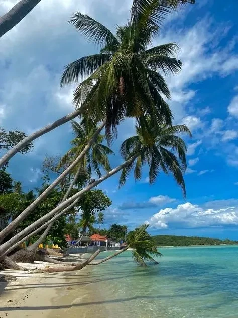 Позвольте себе Самуи 🌴