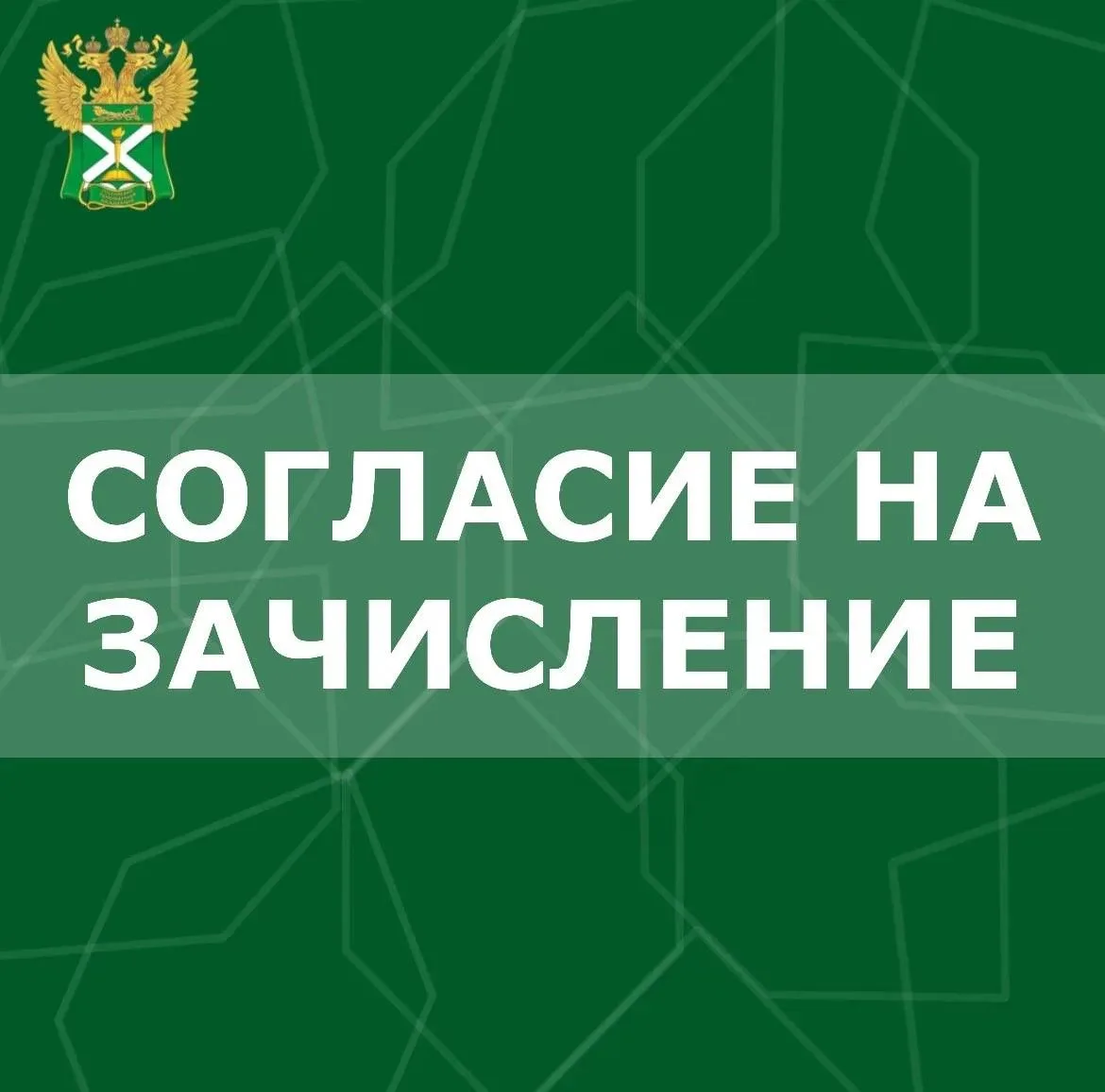 🔻Согласие на зачисление! 🔻