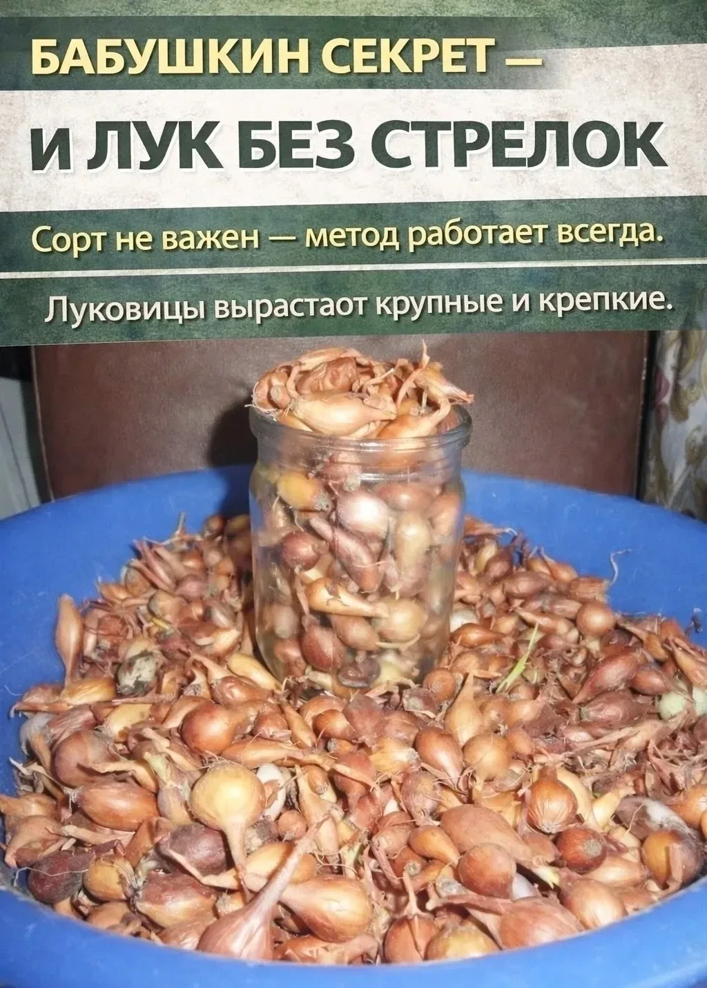 БAБУШКИН CEКРЕТ ПОСАДКИ ЛУКА-СЕВКА  ЧТО ПОНАДОБИТСЯ: ✅ Вода — 1 л ✅ Соль — 1 ст. ложка ✅ Песок.. Чит