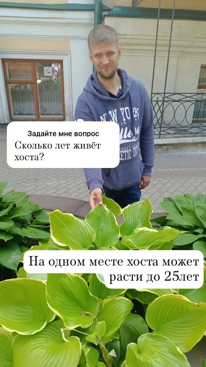 Она еще тот долгожитель !