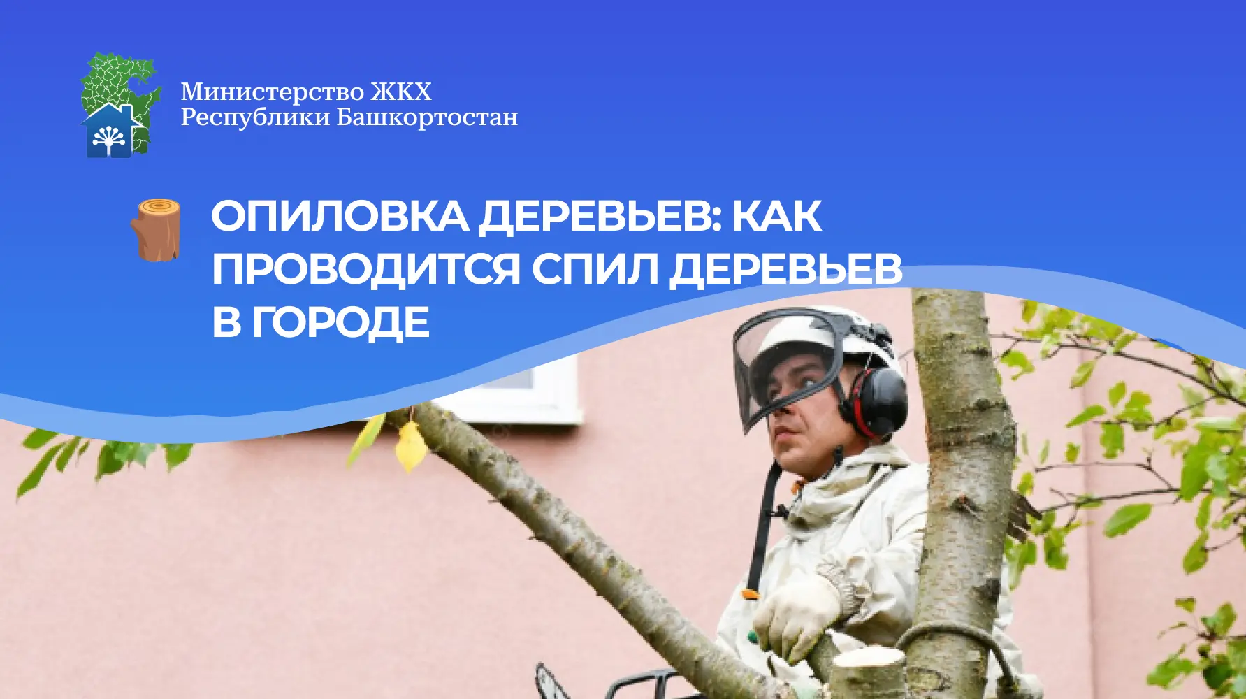 За опиловку (кронирование) деревьев во дворе отвечает организация, которая управляет ва...