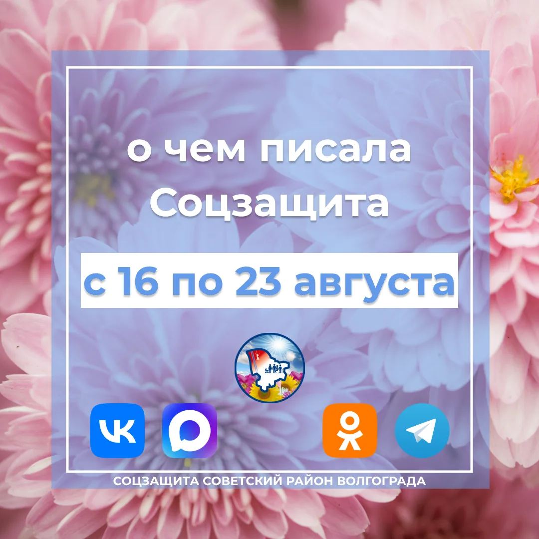 ✍ О чем писала Соцзащита с 16 по 23 августа