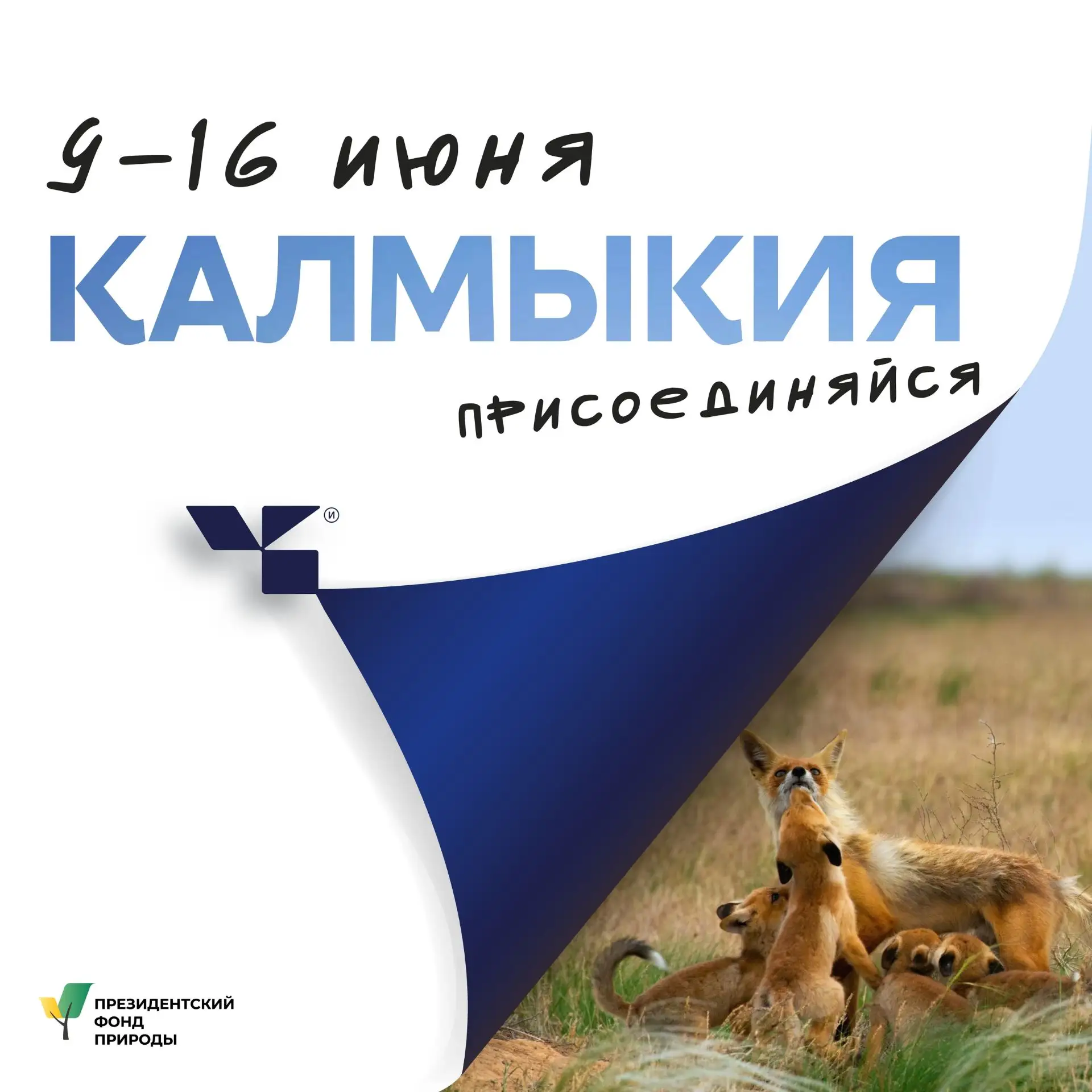 Конкурсный отбор в Школу фотографа дикой природы «ЧУДО ВСЮДУ» (Калмыкия, июнь 2026)  Открыт прием за