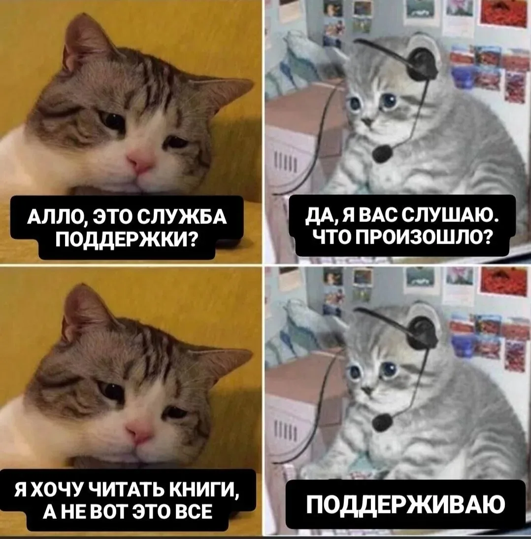 Всегда готовы вас поддержать📚