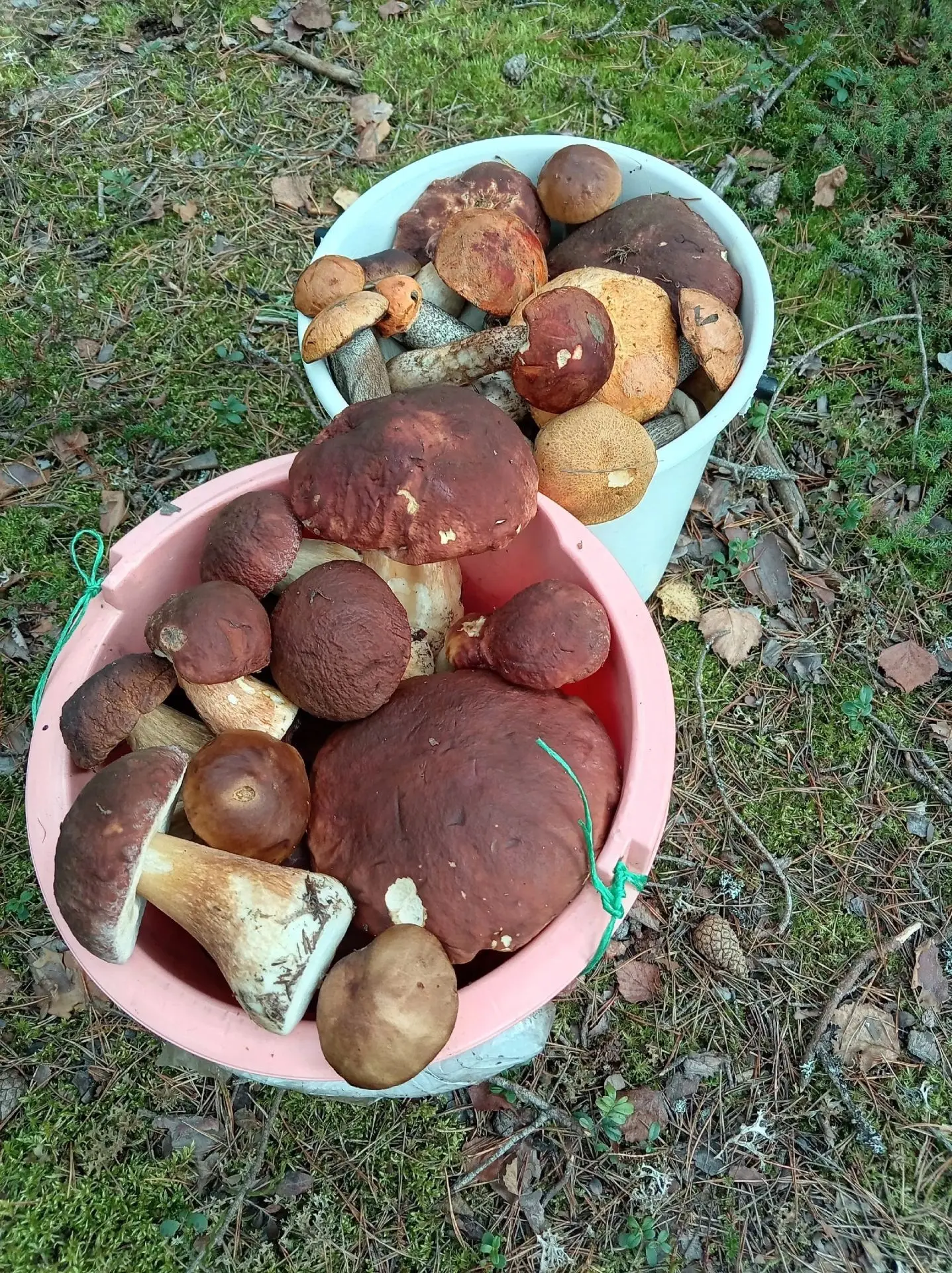 15 сентября. #Выборгский р.