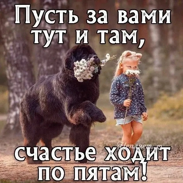 💌 Добрые открытки! Подписаться