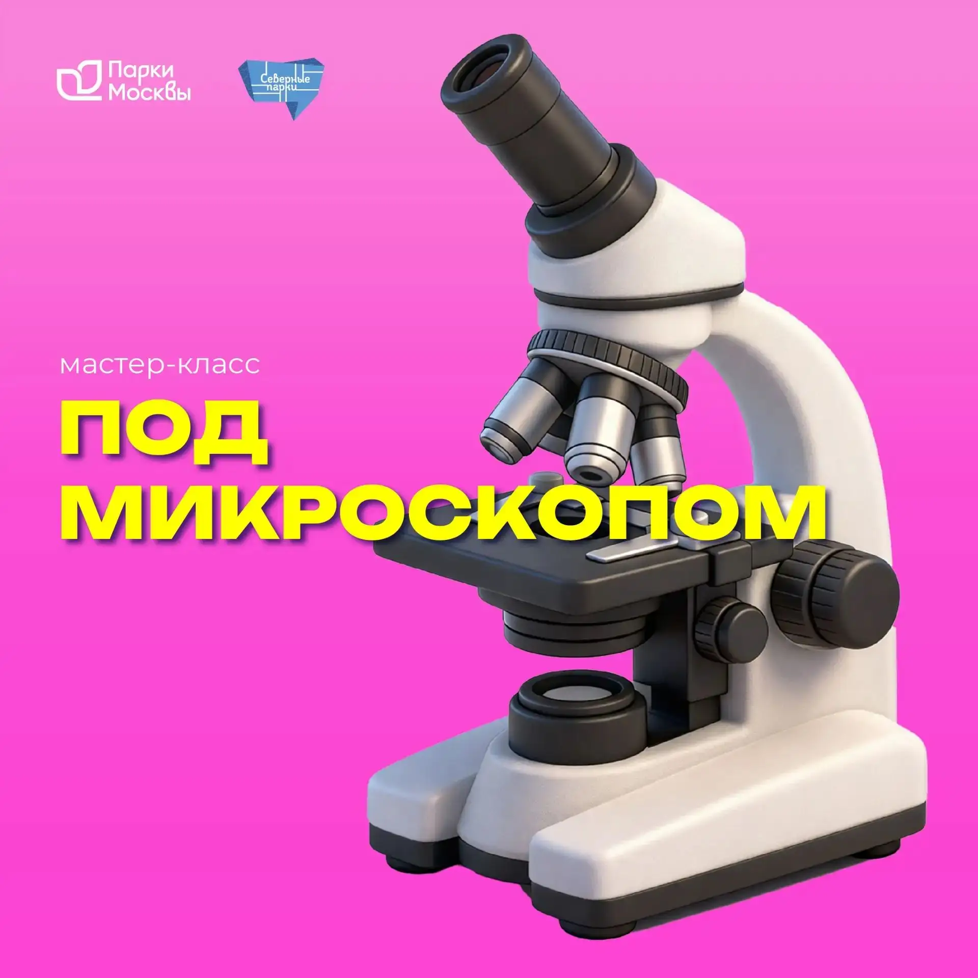 Как семена путешествуют по миру? Раскроем их тайны под микроскопом! 🔍✨