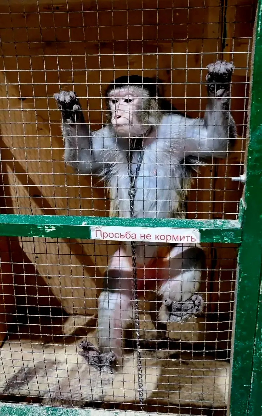 Прокуратура г.Бийска в судебном порядке добилась признания деятельности организации по использованию
