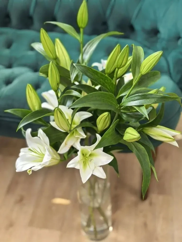 Друзья, всем отличного четверга🌸