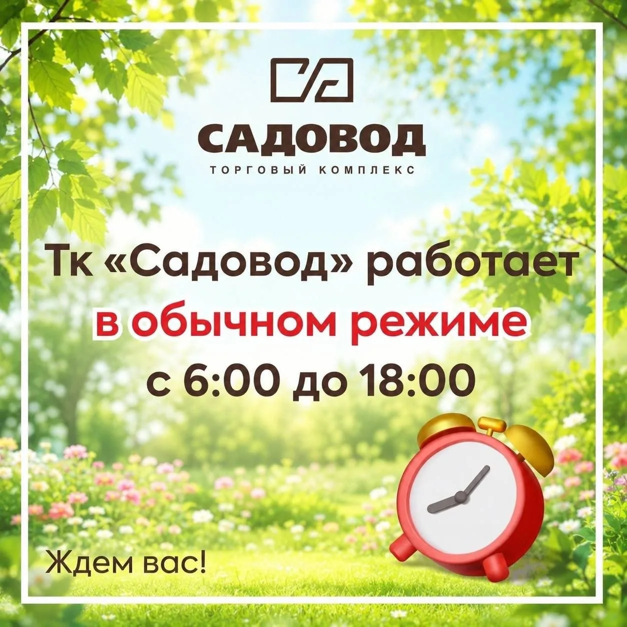 🛍️🆕 Получили повтор Premium Collection 🆕🛍️