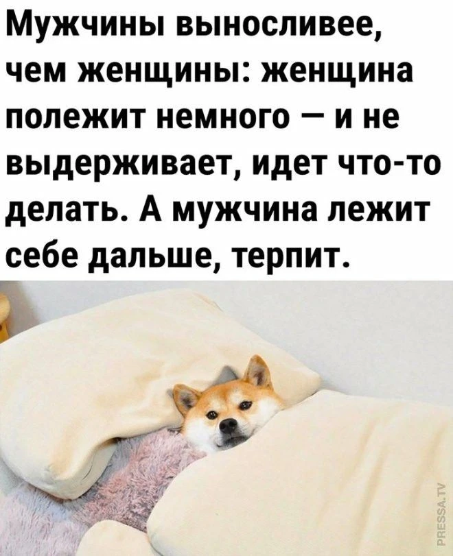 👉открытки с днем рождения👈
