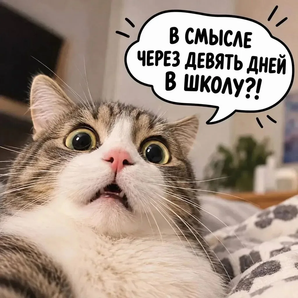 Мы ни на что не намекаем… 😄