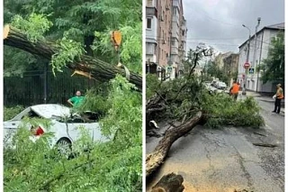 Как получить выплату за пострадавший от урагана автомобиль в Ростове

Юрист Евгений Колесников объяс