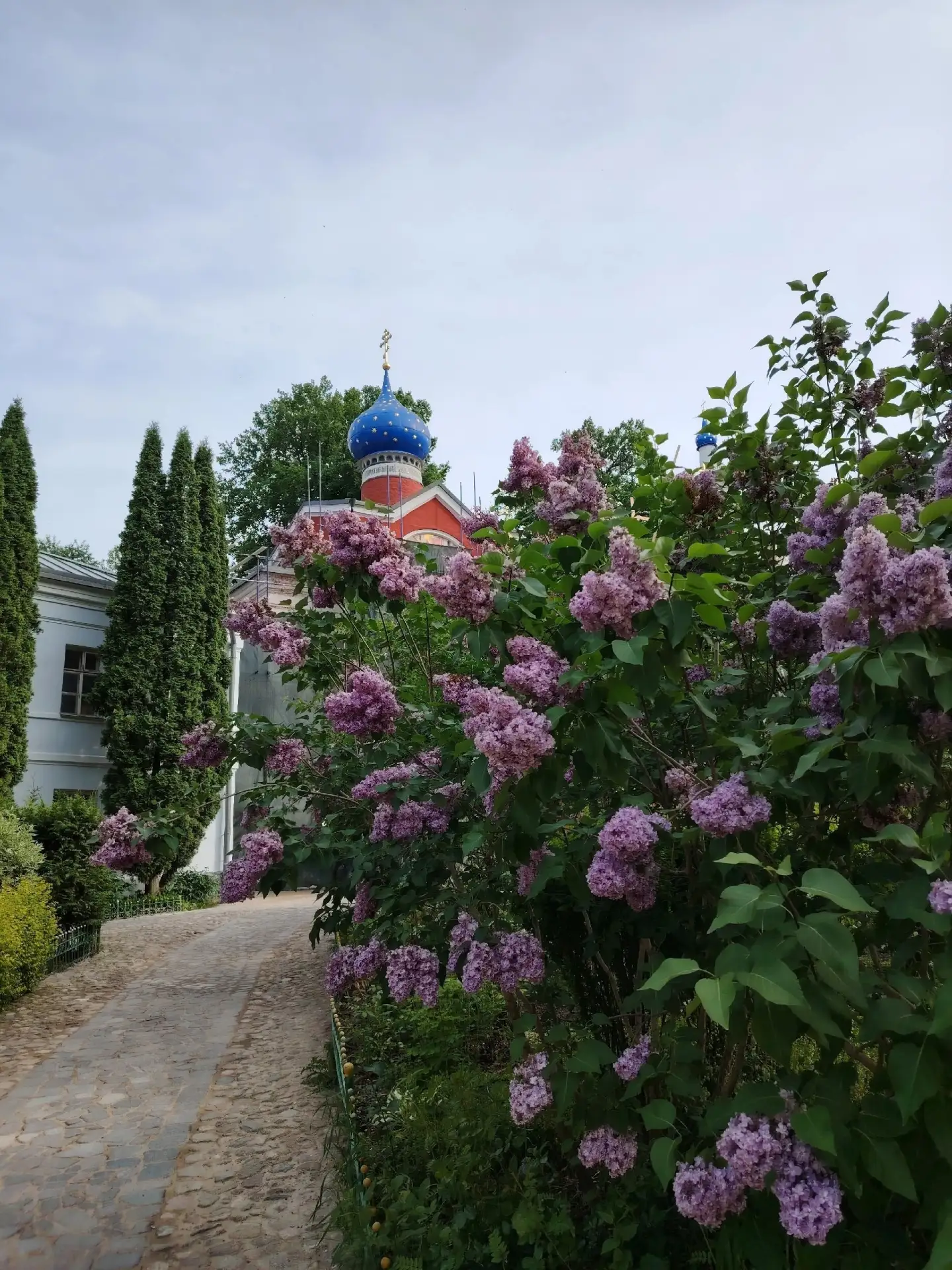 Обитель в сиреневом июньском обрамлении особенно прекрасна
🌿🤍🌿

📸 Из группы тружеников полей Пск