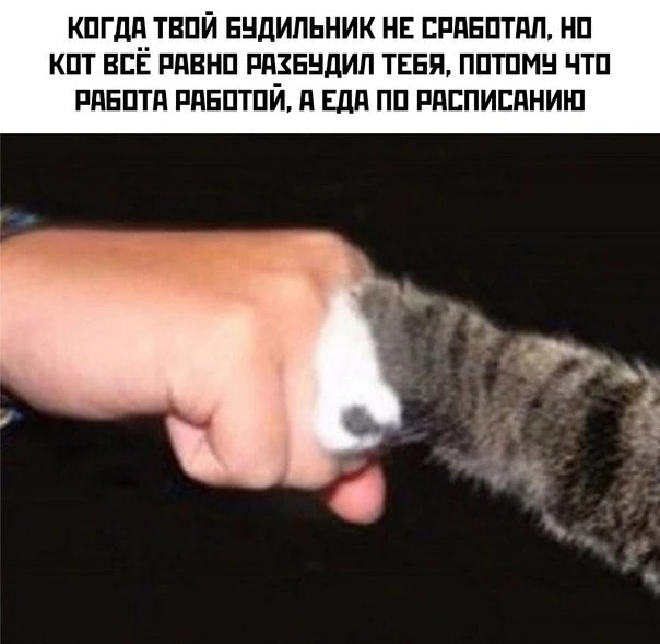 База