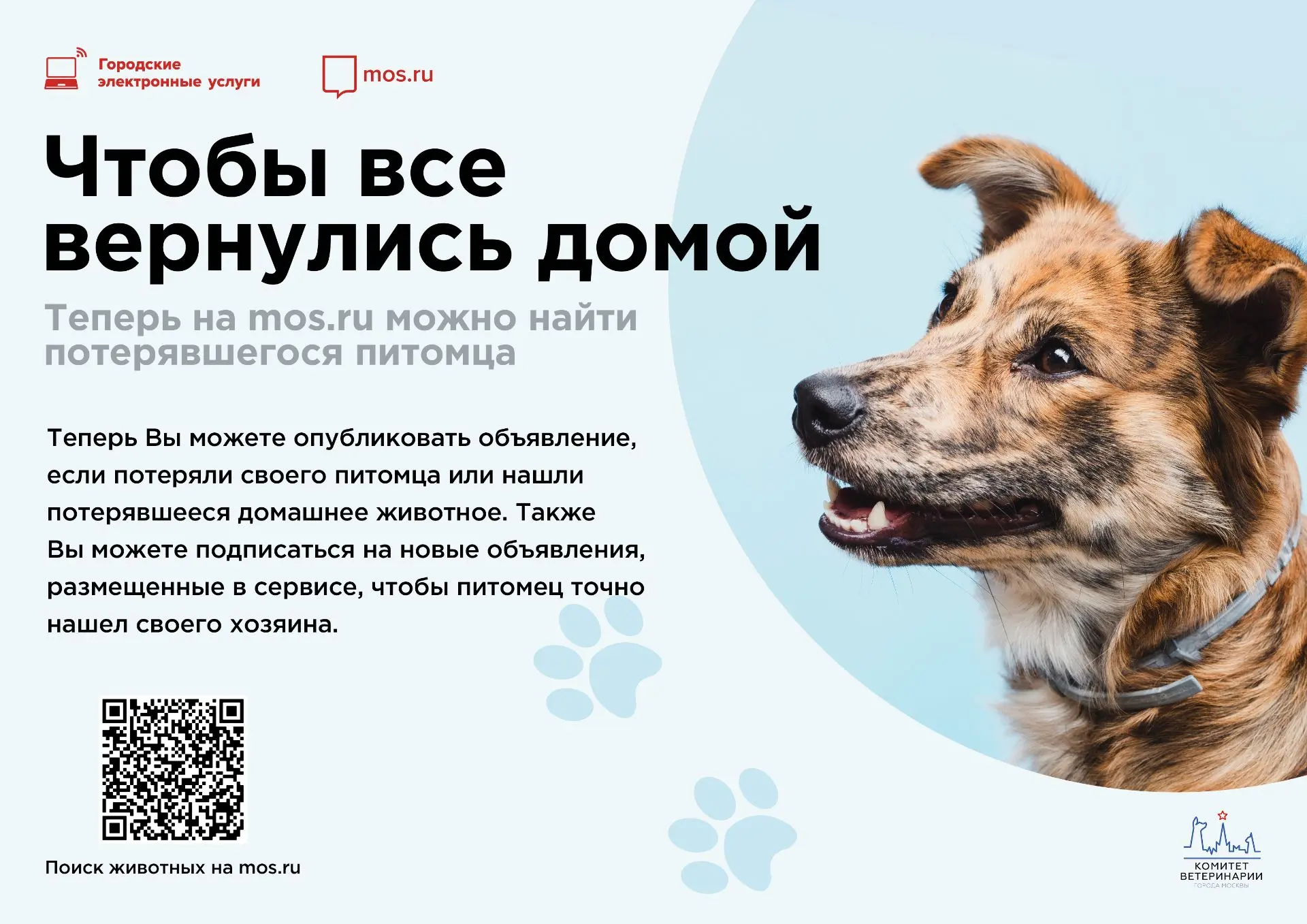 На портале mos.ru можно найти потерявшегося питомца