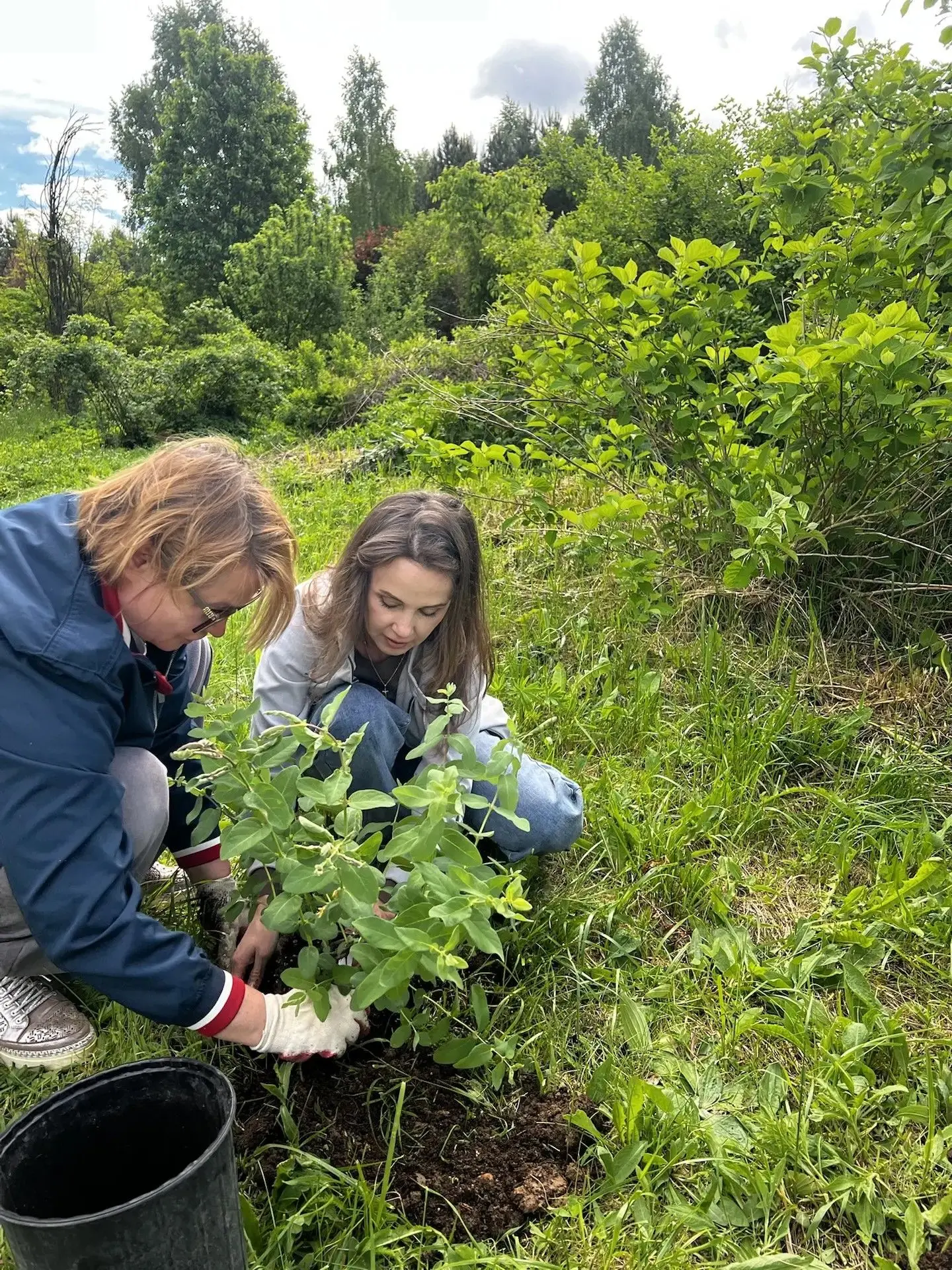 🌳25 мая 2026 года в экопоселении Милёнки состоялось выездное заседание комитета по сем...